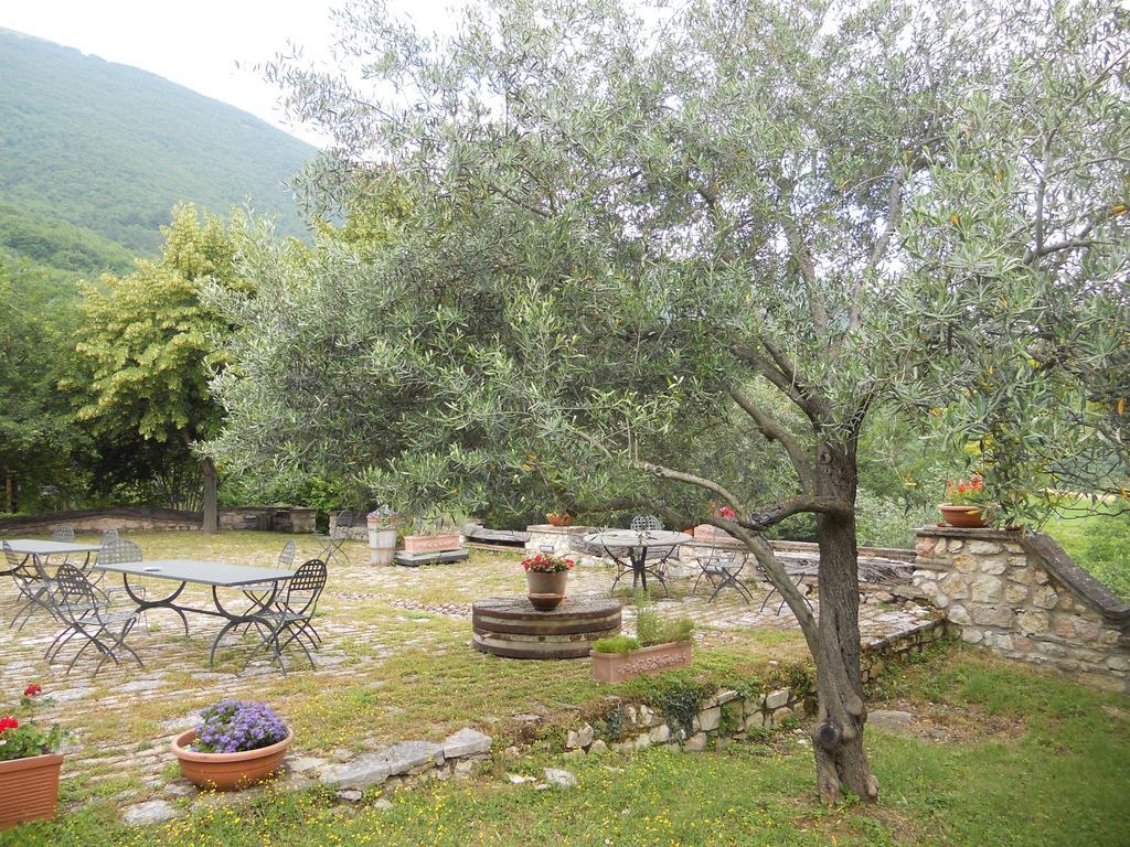 Il Giardino Degli Ulivi Villa Castelraimondo Exterior photo